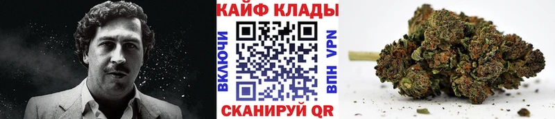 Названия наркотиков Сосновоборск СОЛЬ  Кокаин  ОМГ ОМГ tor  Псилоцибиновые грибы  Гашиш  Конопля  Меф мяу мяу 