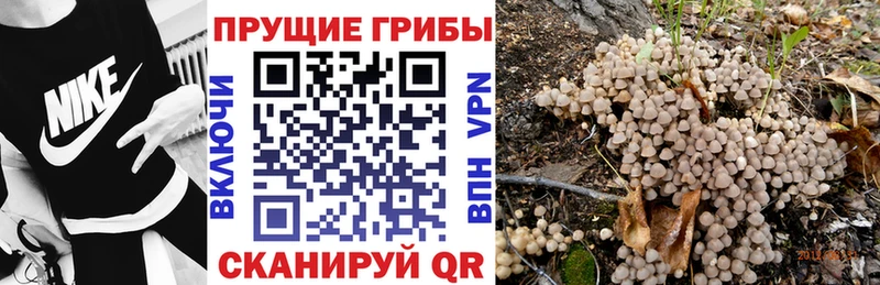 Галлюциногенные грибы MAGIC MUSHROOMS  Сосновоборск 