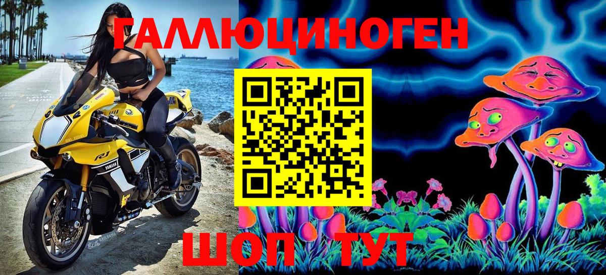 Псилоцибиновые грибы Psilocybine cubensis Сосновоборск